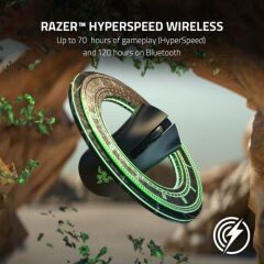 Razer RZ01-03350100-R3G1 Deathadder V2 Pro Oyuncu Mouse