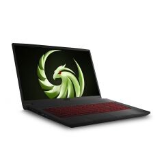 MSI BRAVO 17 A4DDR-039XTR R7-4800H 16GB DDR4 RX5500M GDDR6 4GB 512GB SSD 17.3 FHD 144Hz DOS