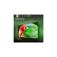 PHILIPS 55PML9008 55'' 139 Ekran Uydu Alıcılı 4K Ultra HD Smart MiniLED TV