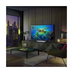 LG OLED55C34LA 55'' 139 Ekran Uydu Alıcılı 4K Ultra HD webOS Smart LED TV