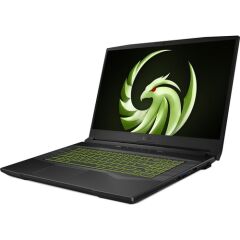 MSI NB ALPHA 17 B5EEK-016TR-32 R7-5800H 32GB DDR4 RX6600M GDDR6 8GB 1TB SSD 17.3 FHD 144Hz W11